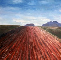 /album/eve-jorgensen-art/nth-qld-cane-fields-no-5-2012-jpg/